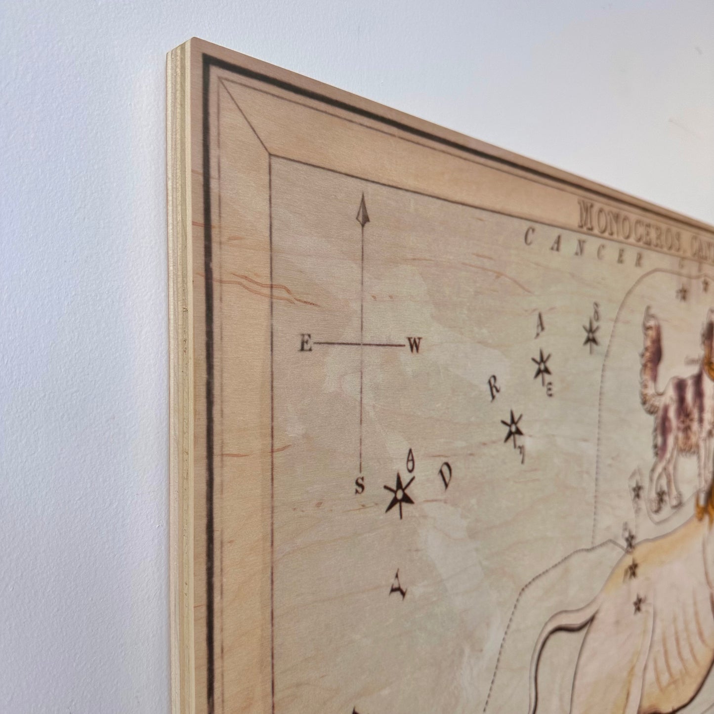 MONOCEROS AND CANIS MINOR CONSTELLATION MAP ON BOARD ARTWORK