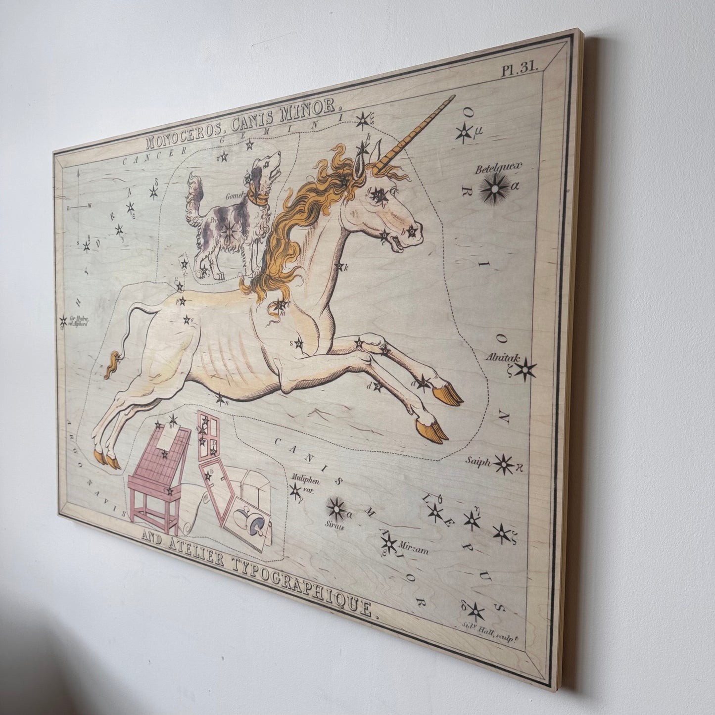 MONOCEROS AND CANIS MINOR CONSTELLATION MAP ON BOARD ARTWORK