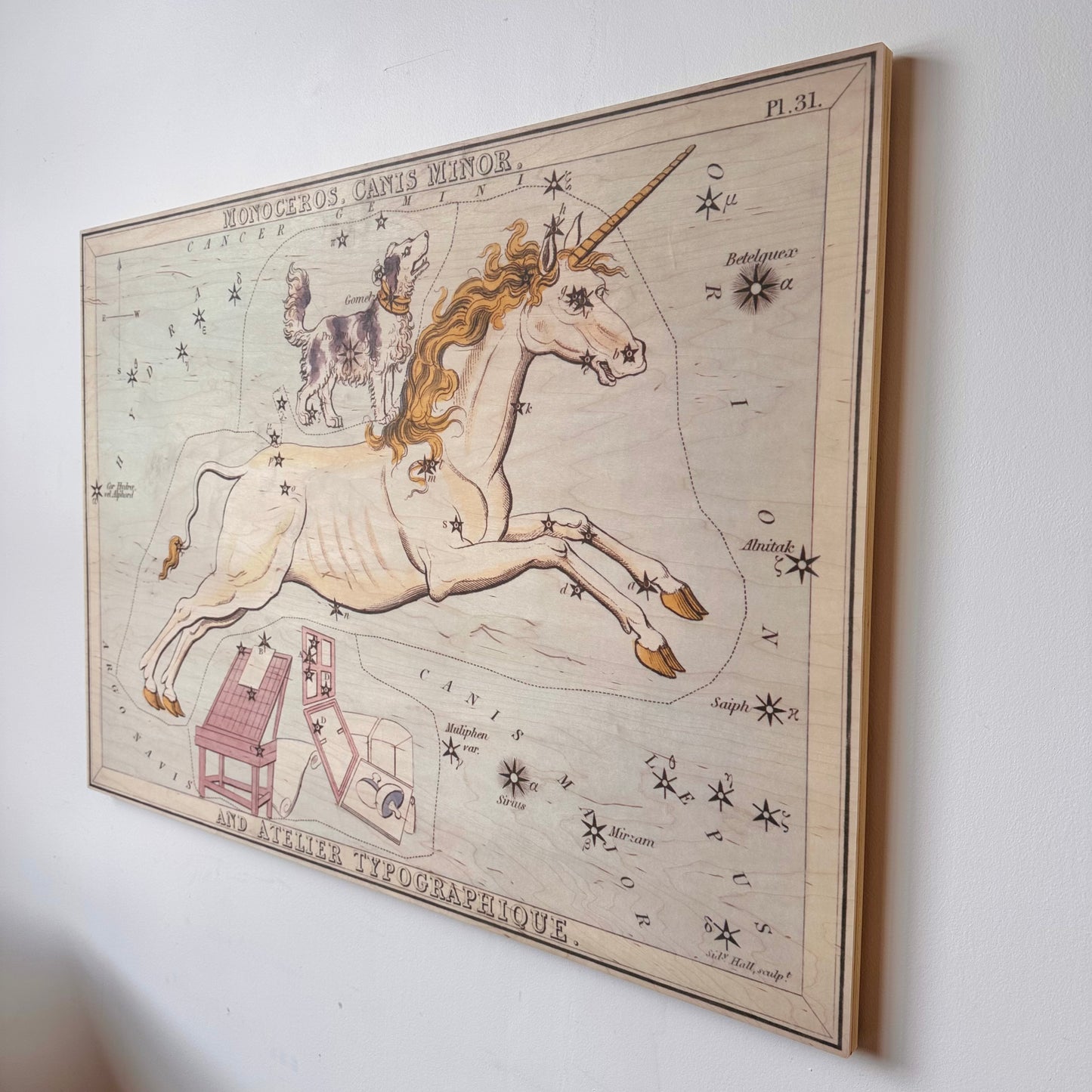 MONOCEROS AND CANIS MINOR CONSTELLATION MAP ON BOARD ARTWORK