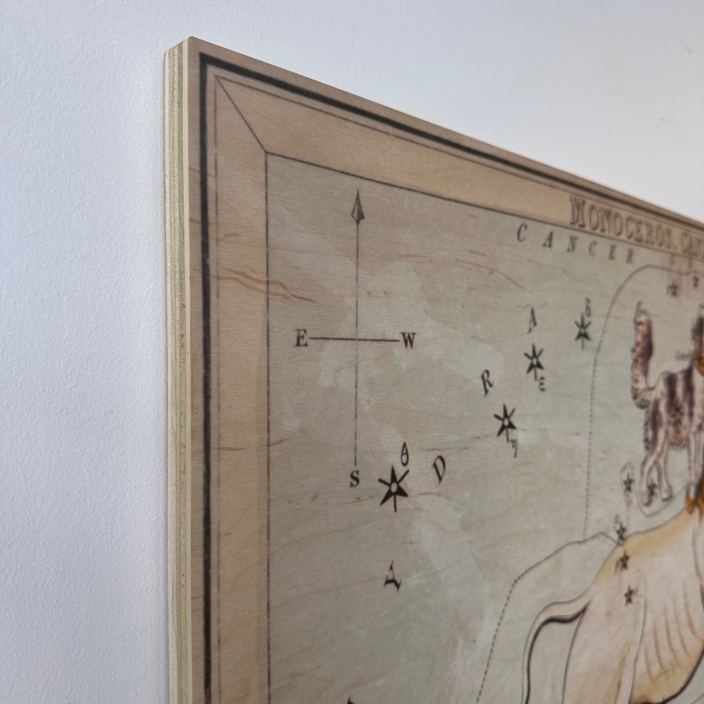 MONOCEROS AND CANIS MINOR CONSTELLATION MAP ON BOARD ARTWORK