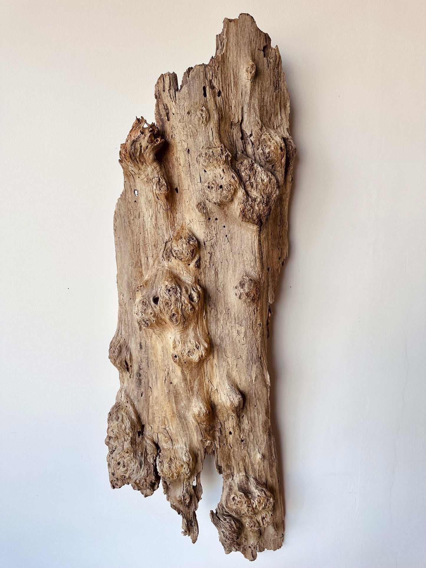 WEATHERED DRIFTWOOD WALL SCULPTURE