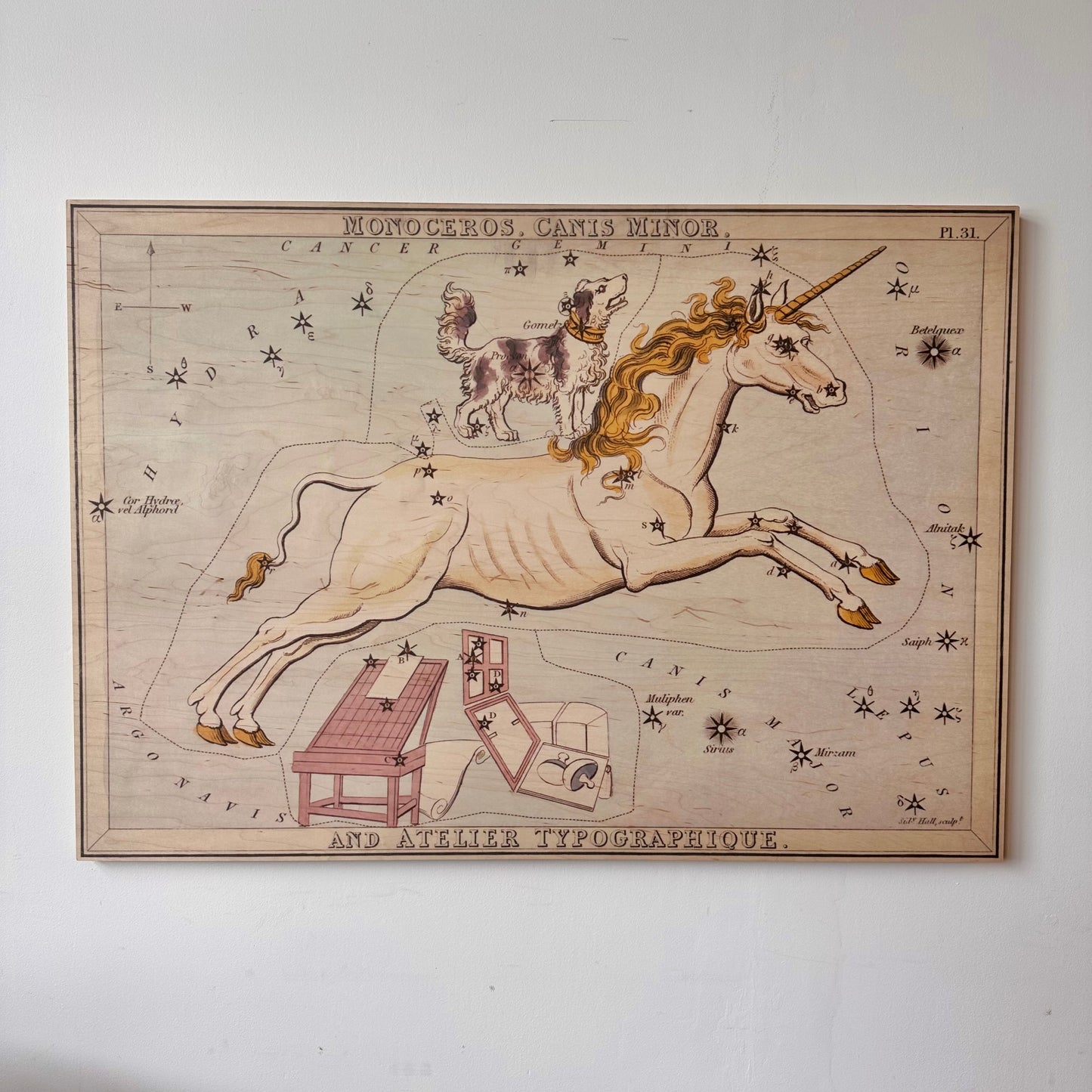 MONOCEROS AND CANIS MINOR CONSTELLATION MAP ON BOARD ARTWORK