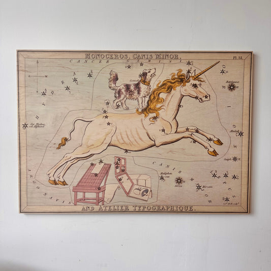 MONOCEROS AND CANIS MINOR CONSTELLATION MAP ON BOARD ARTWORK