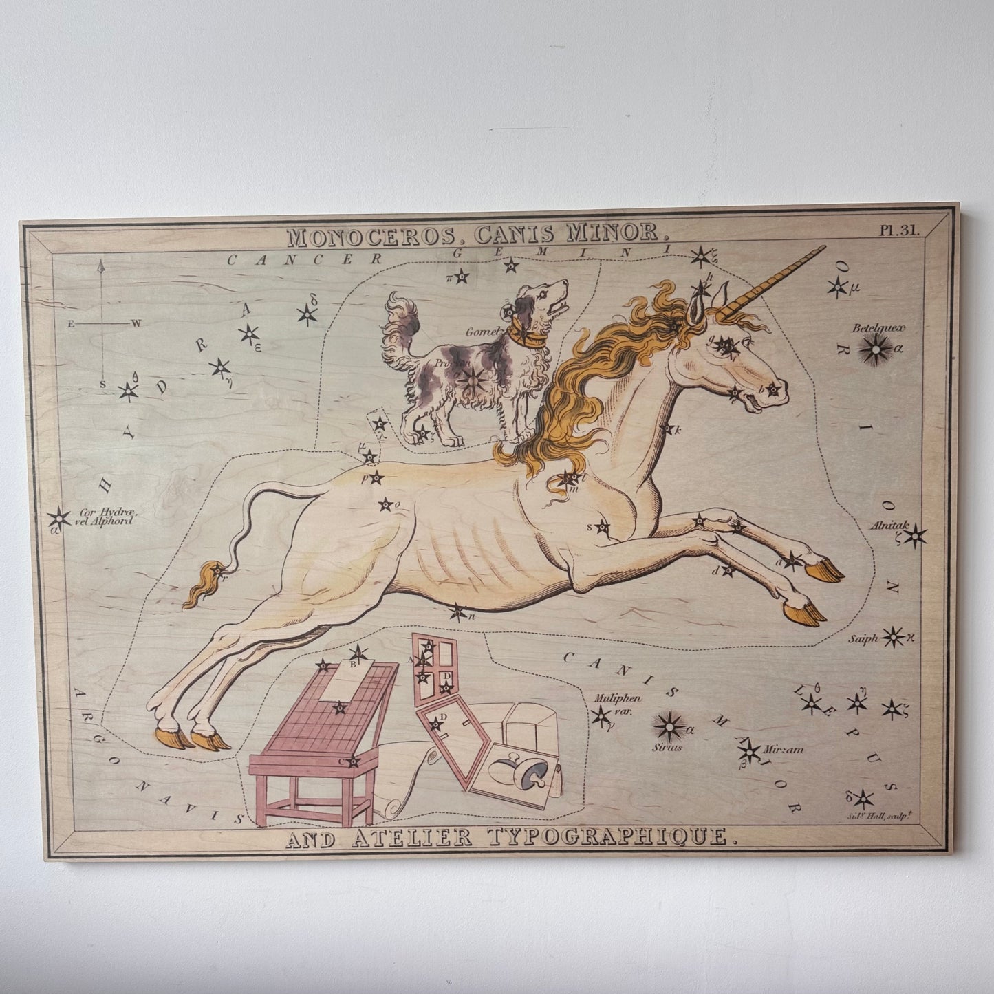MONOCEROS AND CANIS MINOR CONSTELLATION MAP ON BOARD ARTWORK