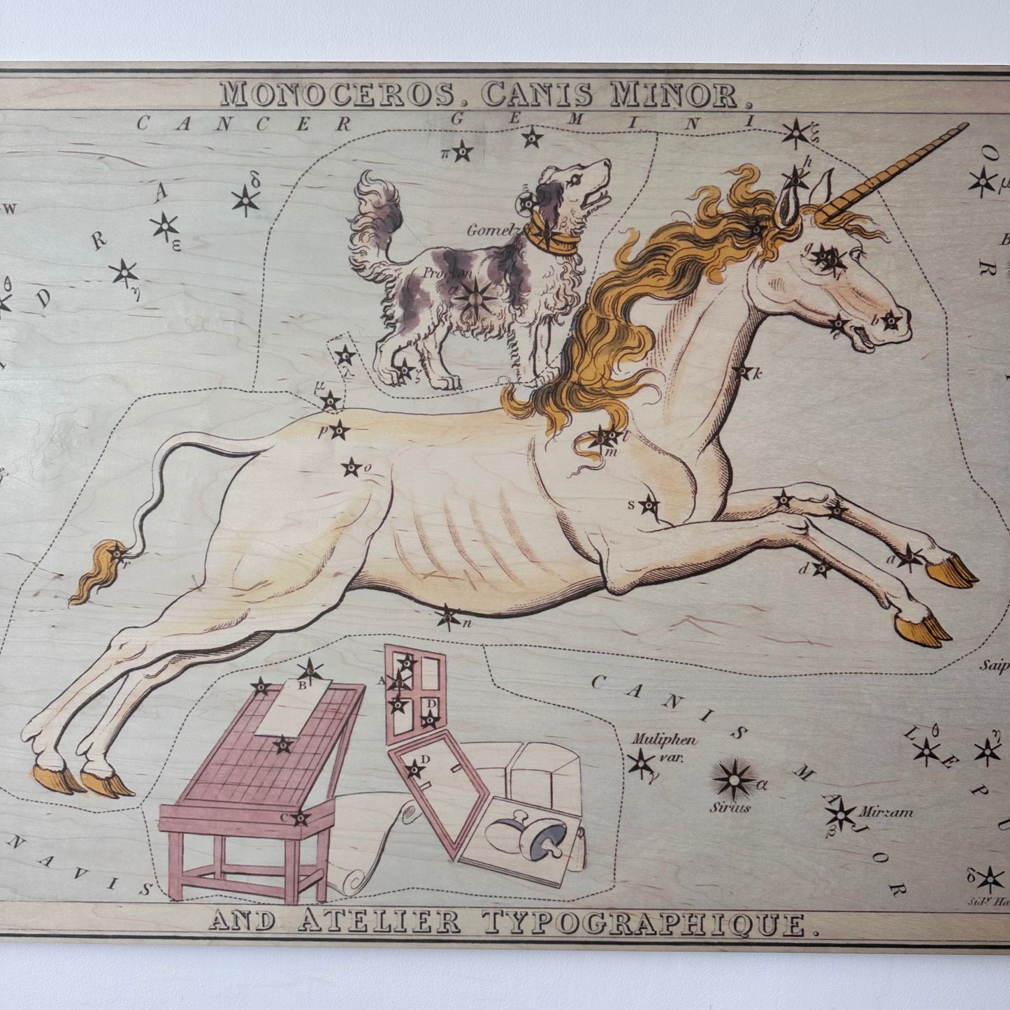 MONOCEROS AND CANIS MINOR CONSTELLATION MAP ON BOARD ARTWORK