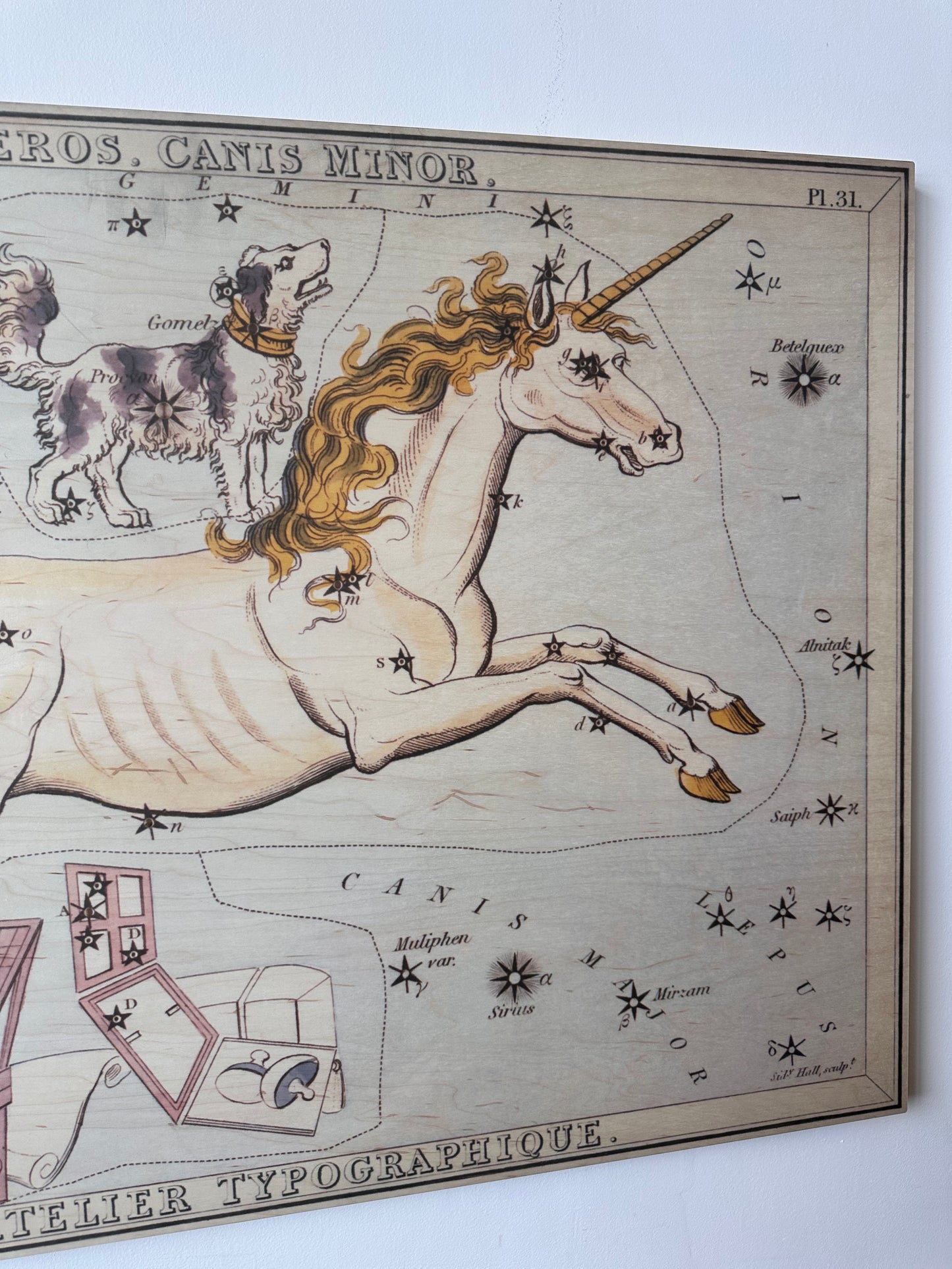 MONOCEROS AND CANIS MINOR CONSTELLATION MAP ON BOARD ARTWORK