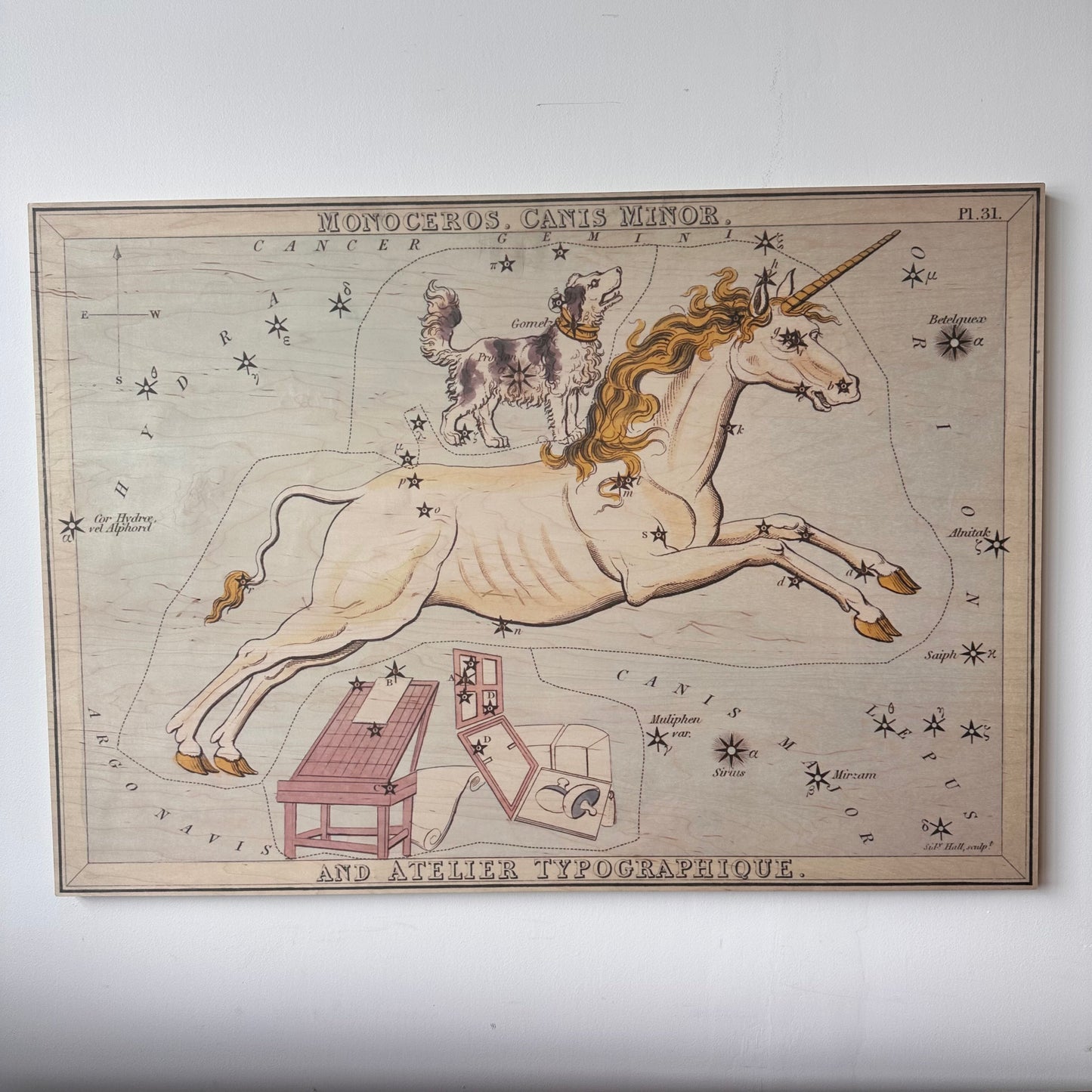 MONOCEROS AND CANIS MINOR CONSTELLATION MAP ON BOARD ARTWORK