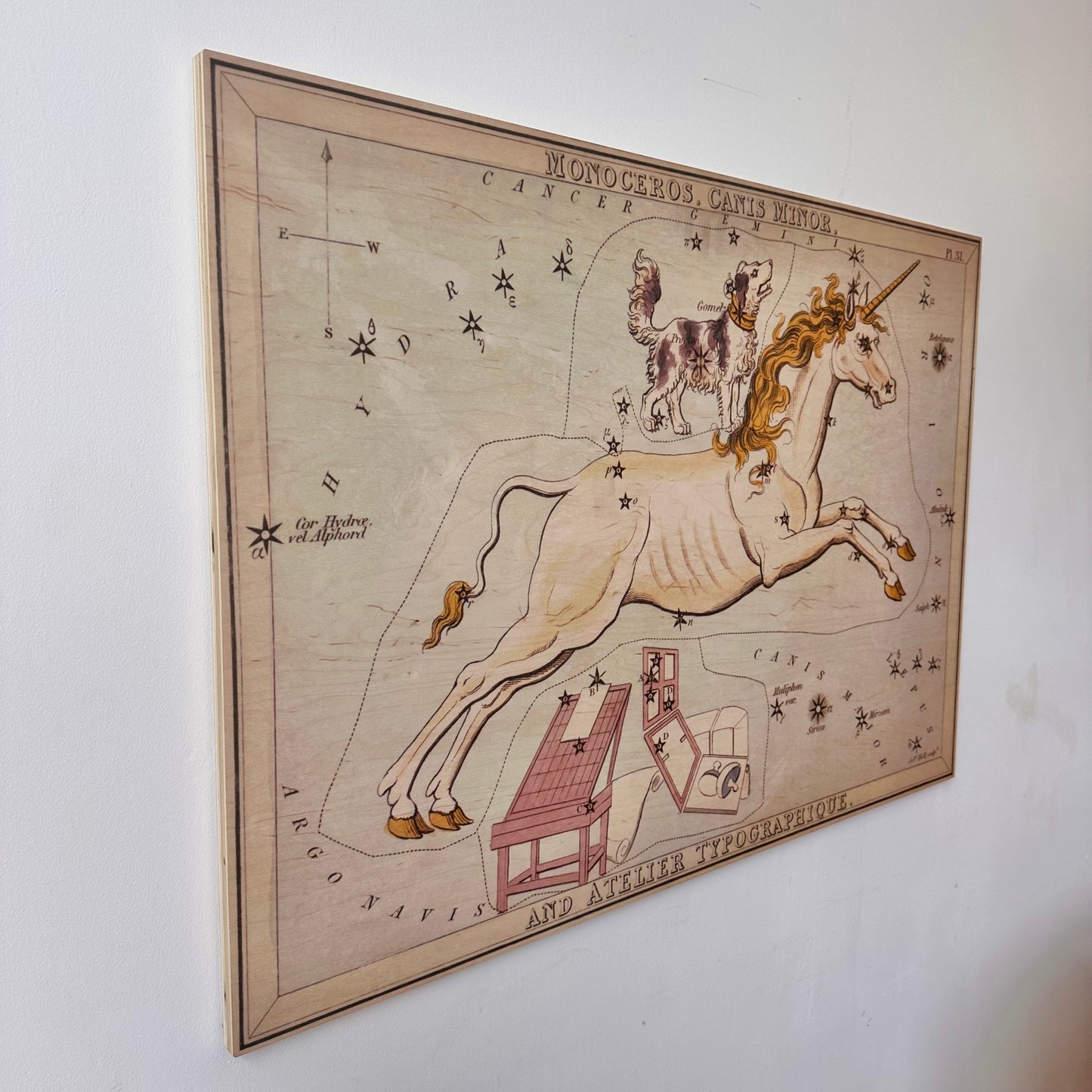 MONOCEROS AND CANIS MINOR CONSTELLATION MAP ON BOARD ARTWORK
