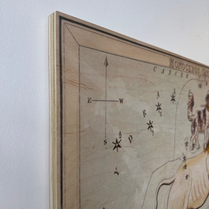 MONOCEROS AND CANIS MINOR CONSTELLATION MAP ON BOARD ARTWORK