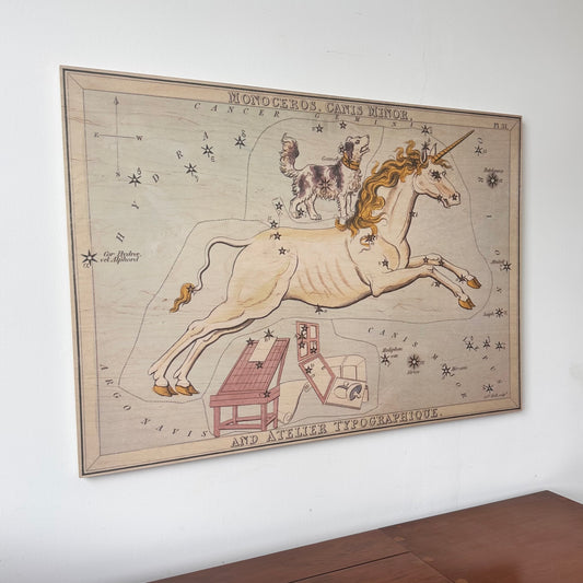 MONOCEROS AND CANIS MINOR CONSTELLATION MAP ON BOARD ARTWORK