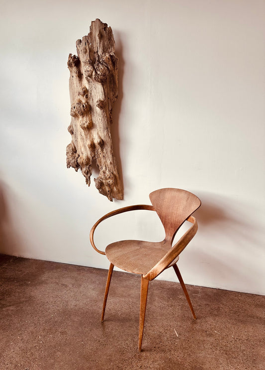 WEATHERED DRIFTWOOD WALL SCULPTURE