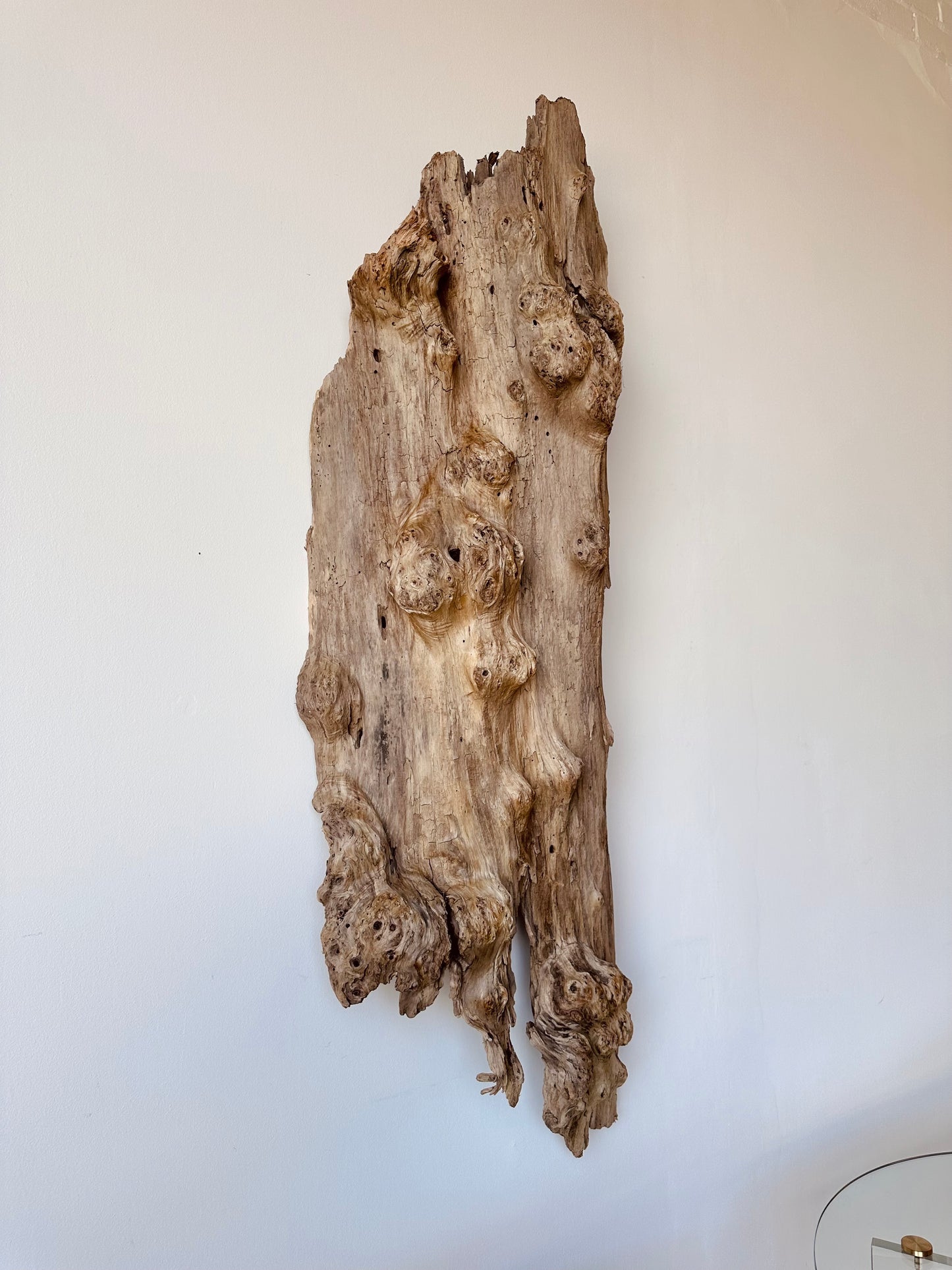 WEATHERED DRIFTWOOD WALL SCULPTURE