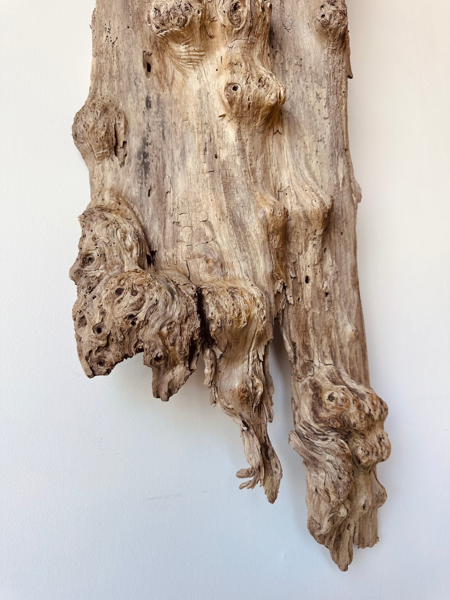 WEATHERED DRIFTWOOD WALL SCULPTURE