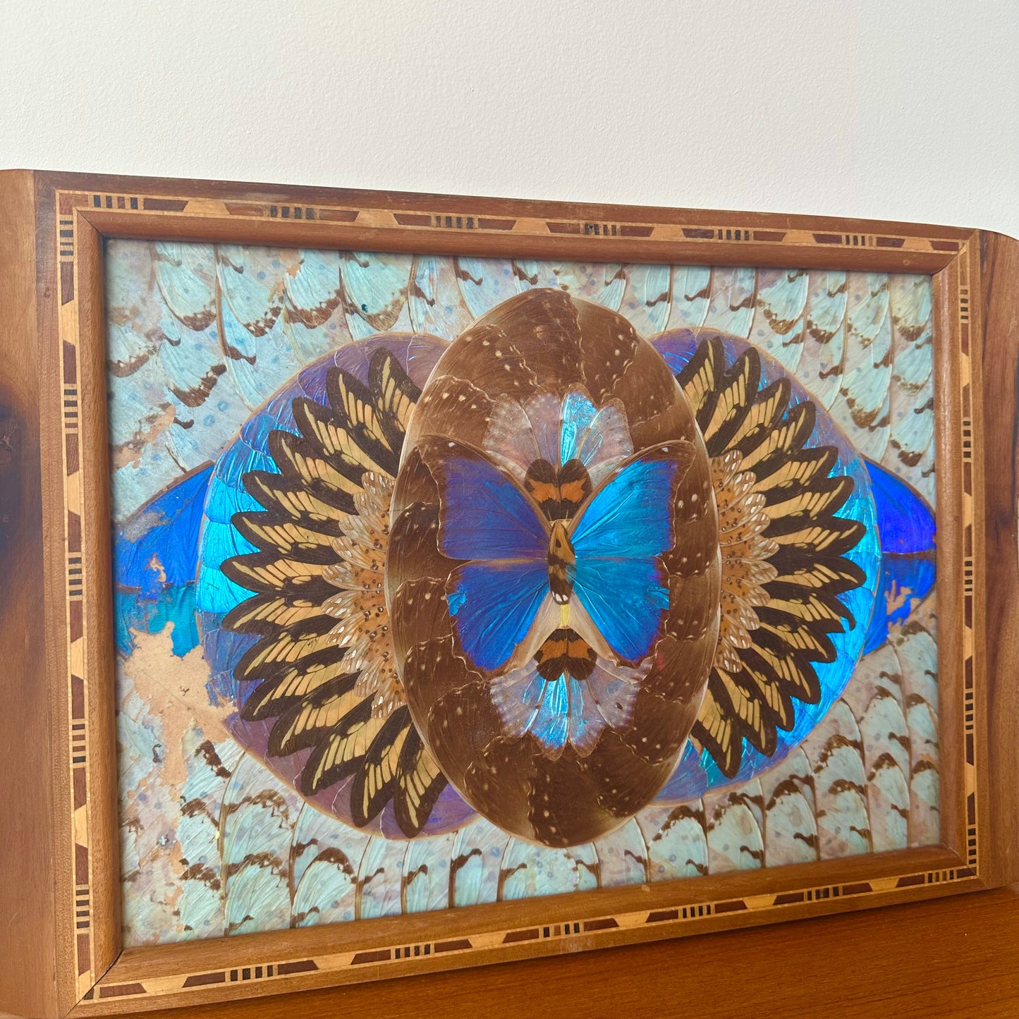 BRAZILIAN BORBOLETA BUTTERFLY INLAYED MAHOGANY TRAY