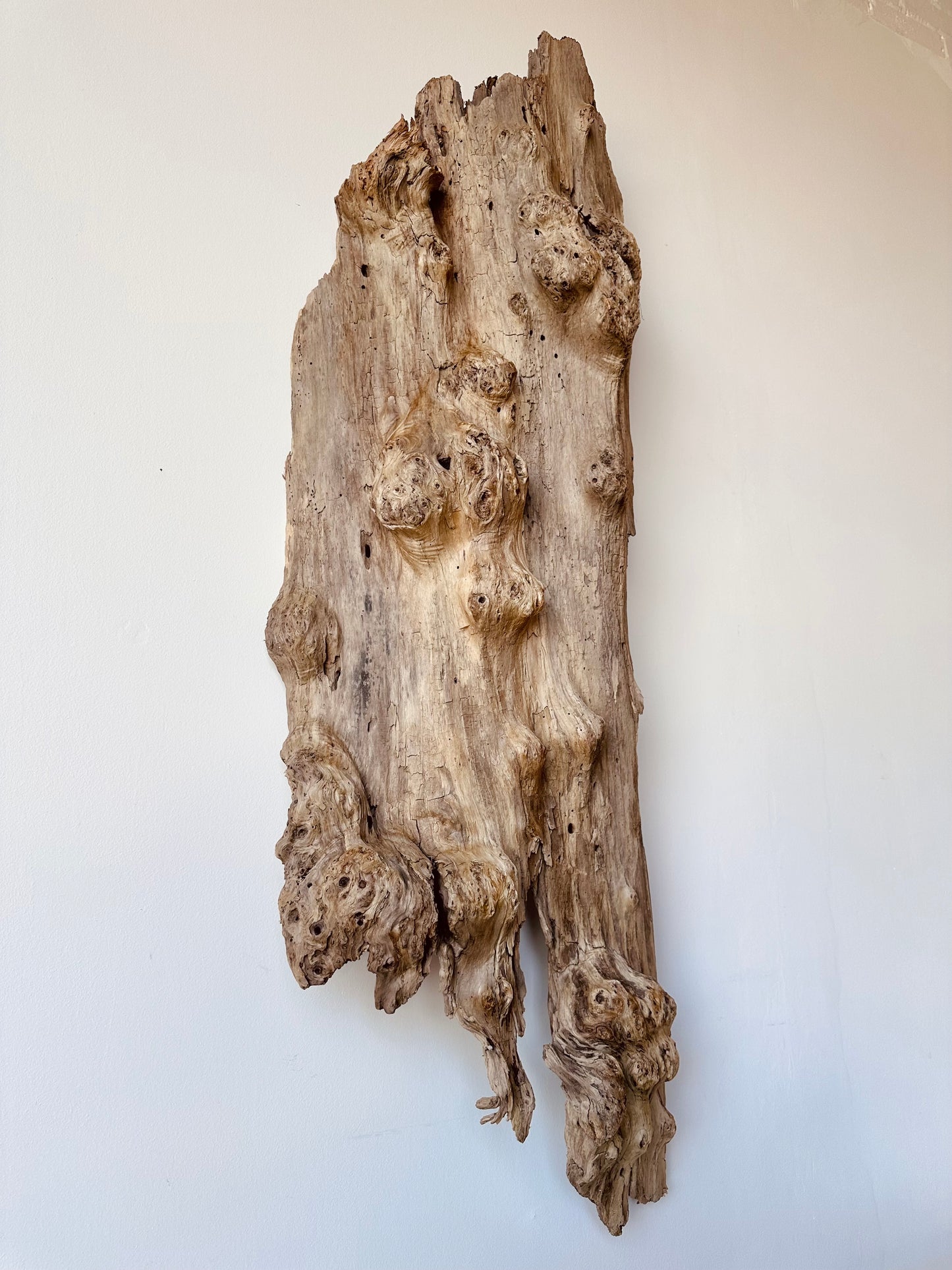 WEATHERED DRIFTWOOD WALL SCULPTURE
