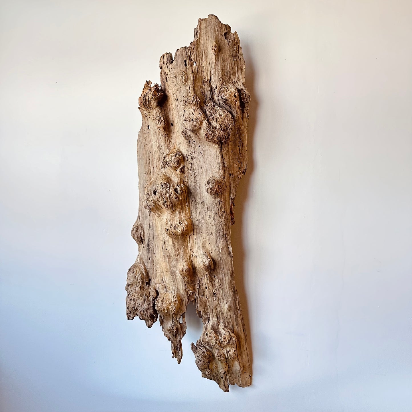 WEATHERED DRIFTWOOD WALL SCULPTURE