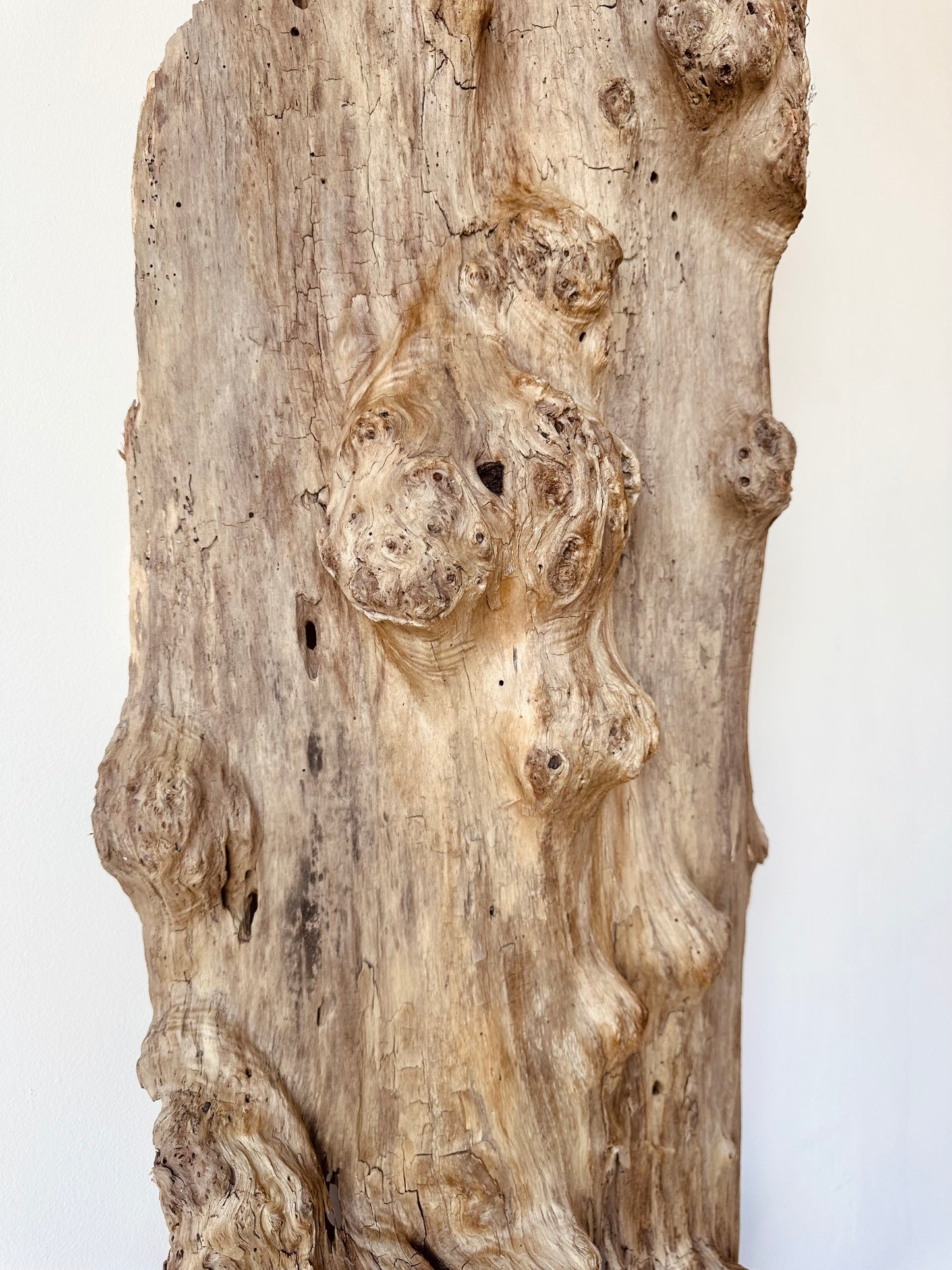 WEATHERED DRIFTWOOD WALL SCULPTURE