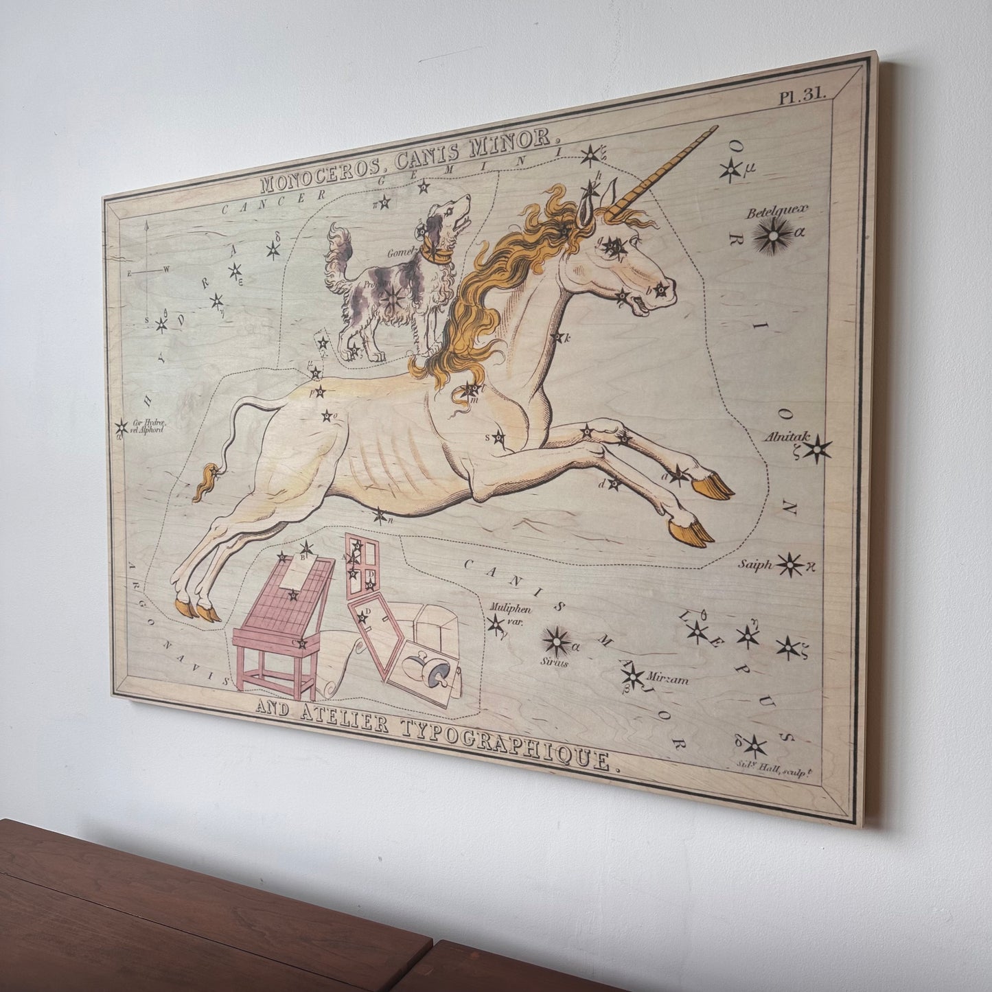 MONOCEROS AND CANIS MINOR CONSTELLATION MAP ON BOARD ARTWORK