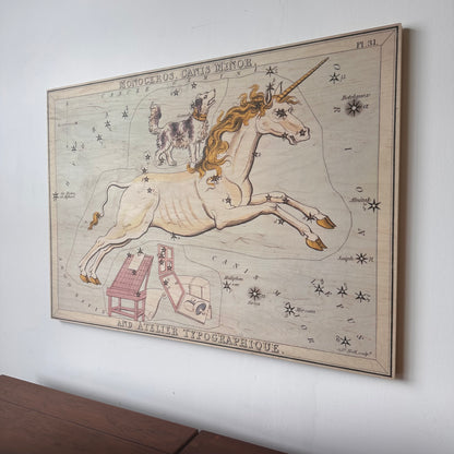 MONOCEROS AND CANIS MINOR CONSTELLATION MAP ON BOARD ARTWORK