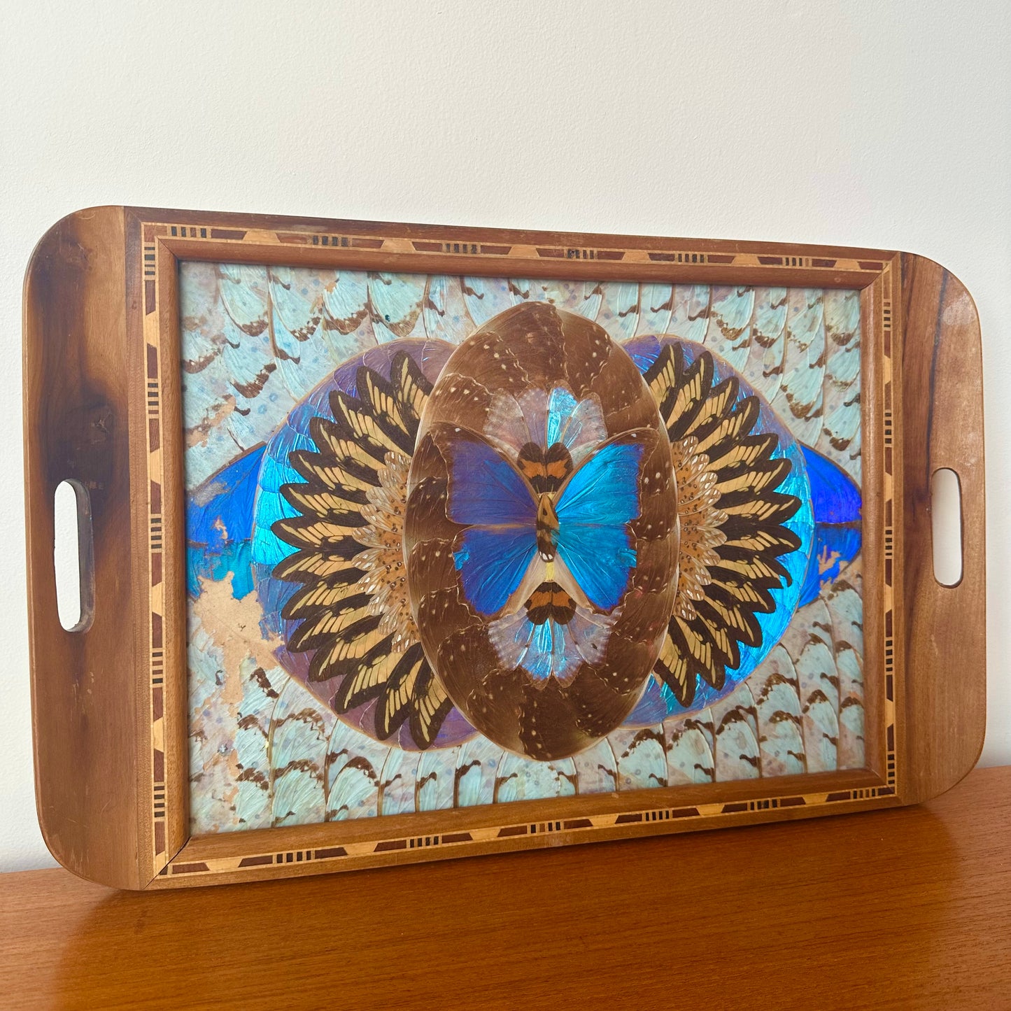 BRAZILIAN BORBOLETA BUTTERFLY INLAYED MAHOGANY TRAY