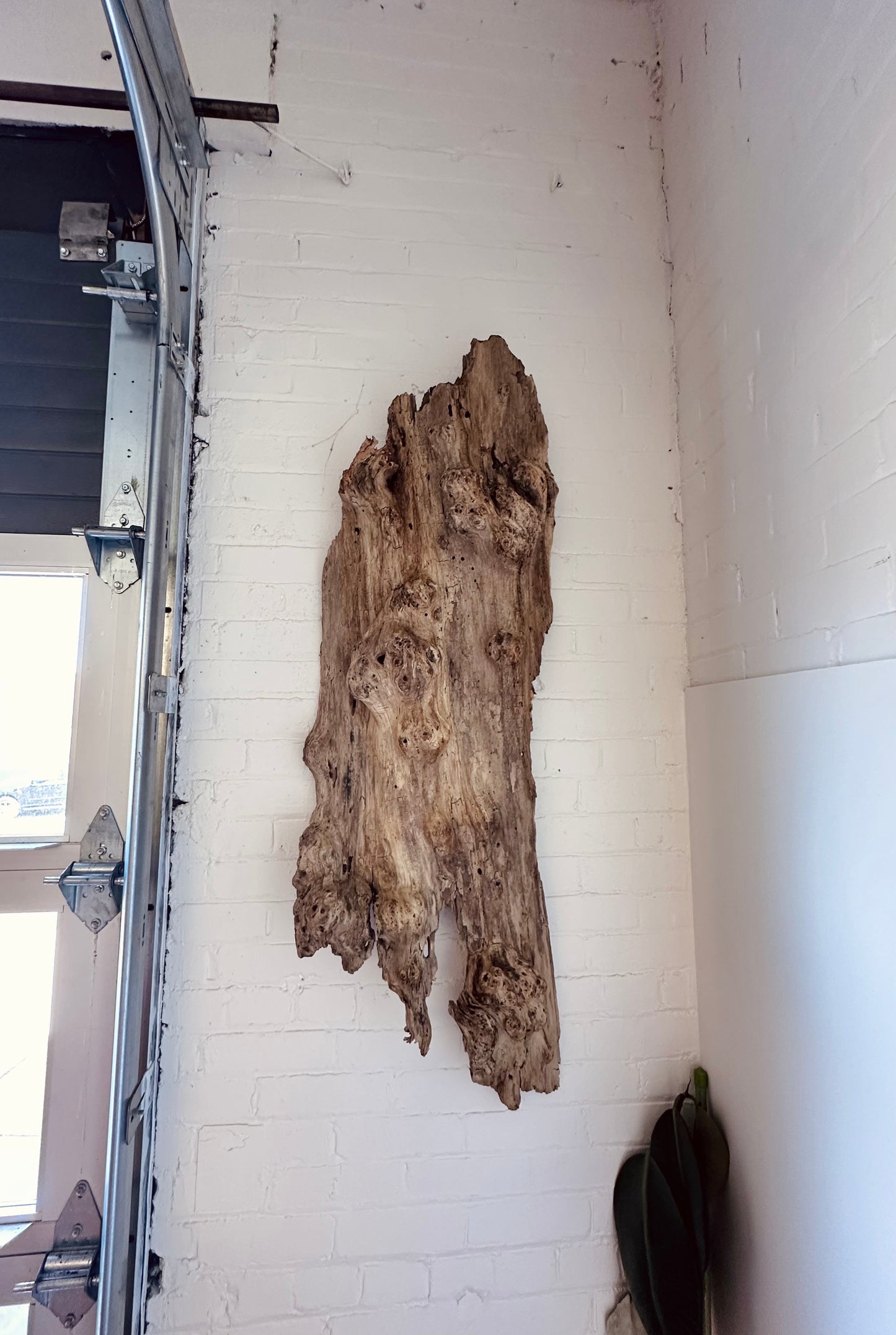 WEATHERED DRIFTWOOD WALL SCULPTURE